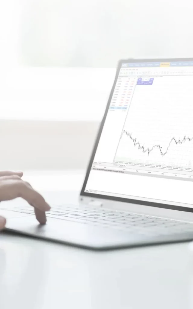 主要特征,网络终端Main features, network terminal
