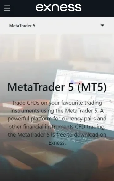 一方面，MT5On the one hand, MT5  